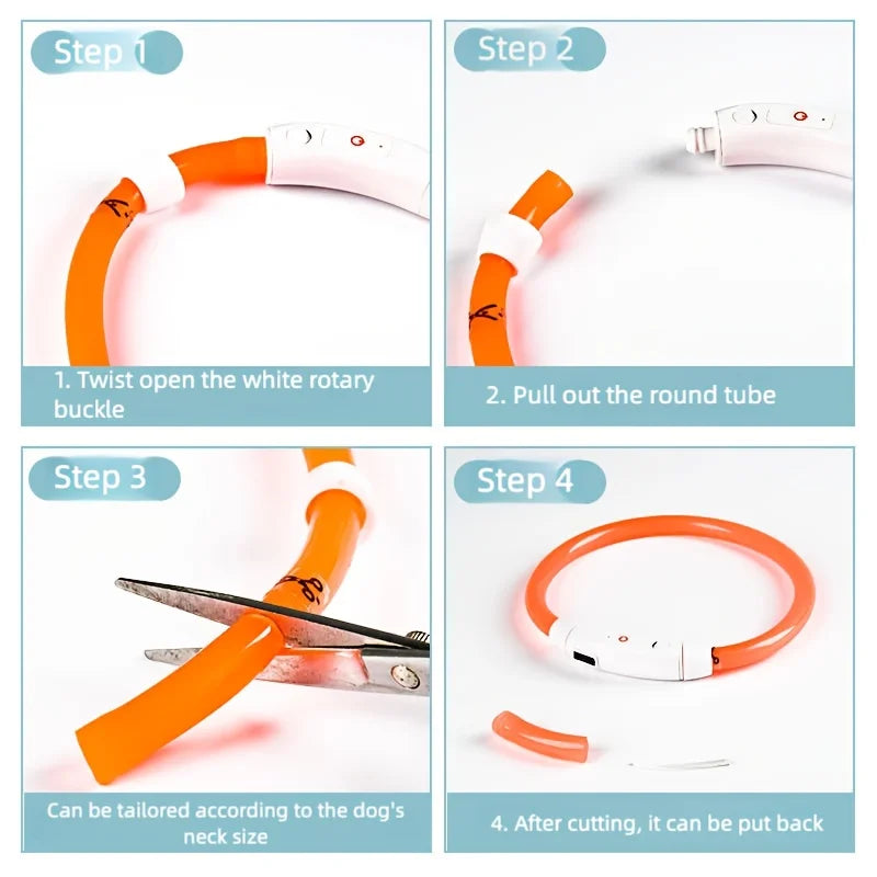 CN Guangdong LED Dog Collar USB Rechargeable 3-Mode Safety Light