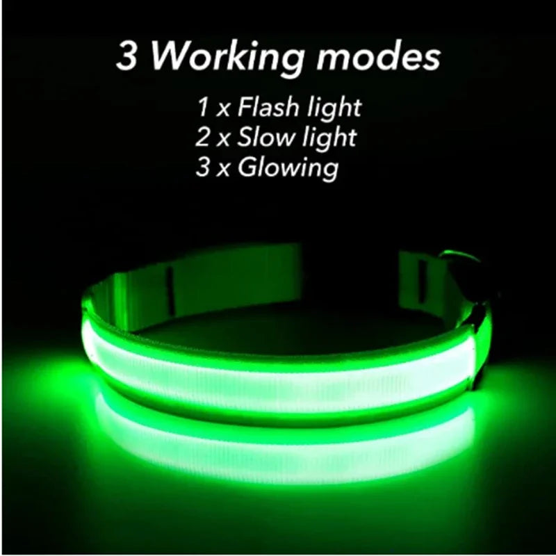 Usb Charging Glowing Dog Collar With Pendant Night Safety