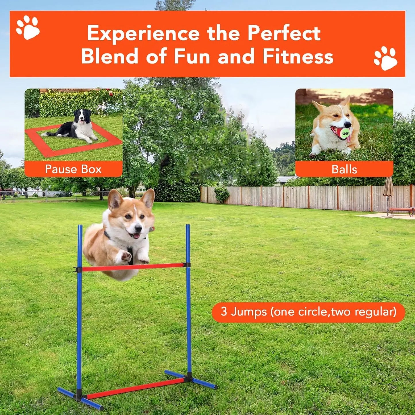 HiMIS Dog Agility Set 87 Piece Obstacle Course Kit