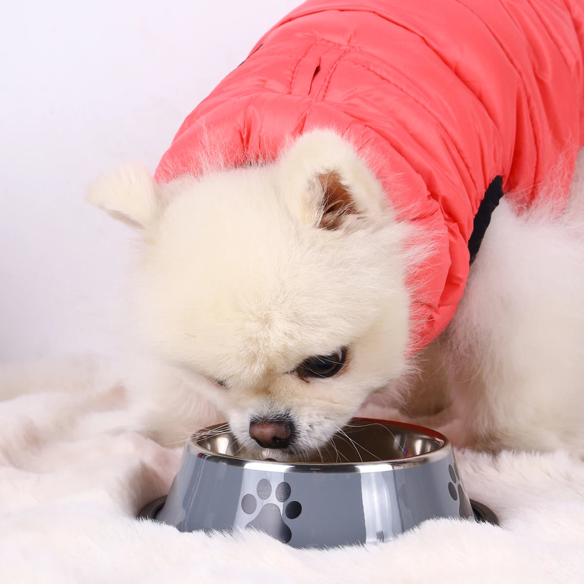 High Concerned Stainless Steel Pet Bowl Anti Fall Feeding Dish