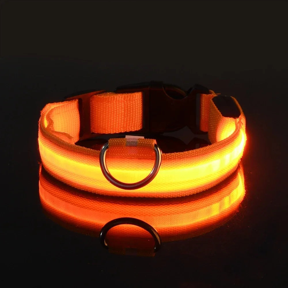 Guangdong Nylon LED Dog Collar With Night Safety Flashing Glow
