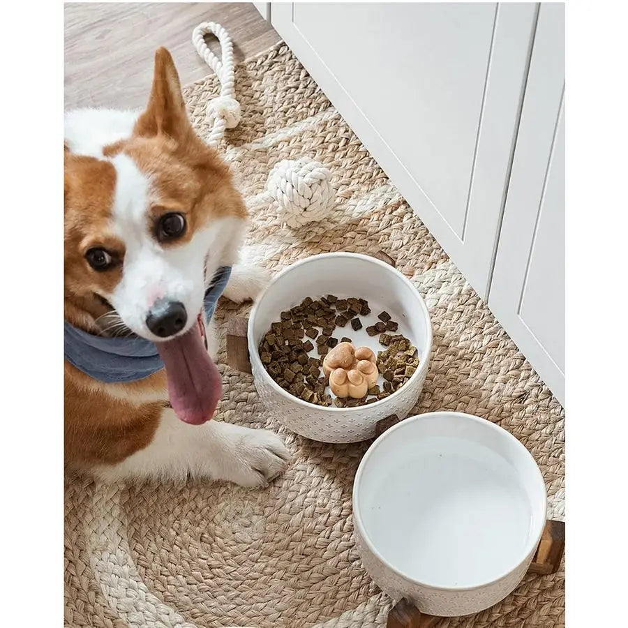 Ceramic Dog Bowls With Acacia Wood Stand Non Slip Elevated