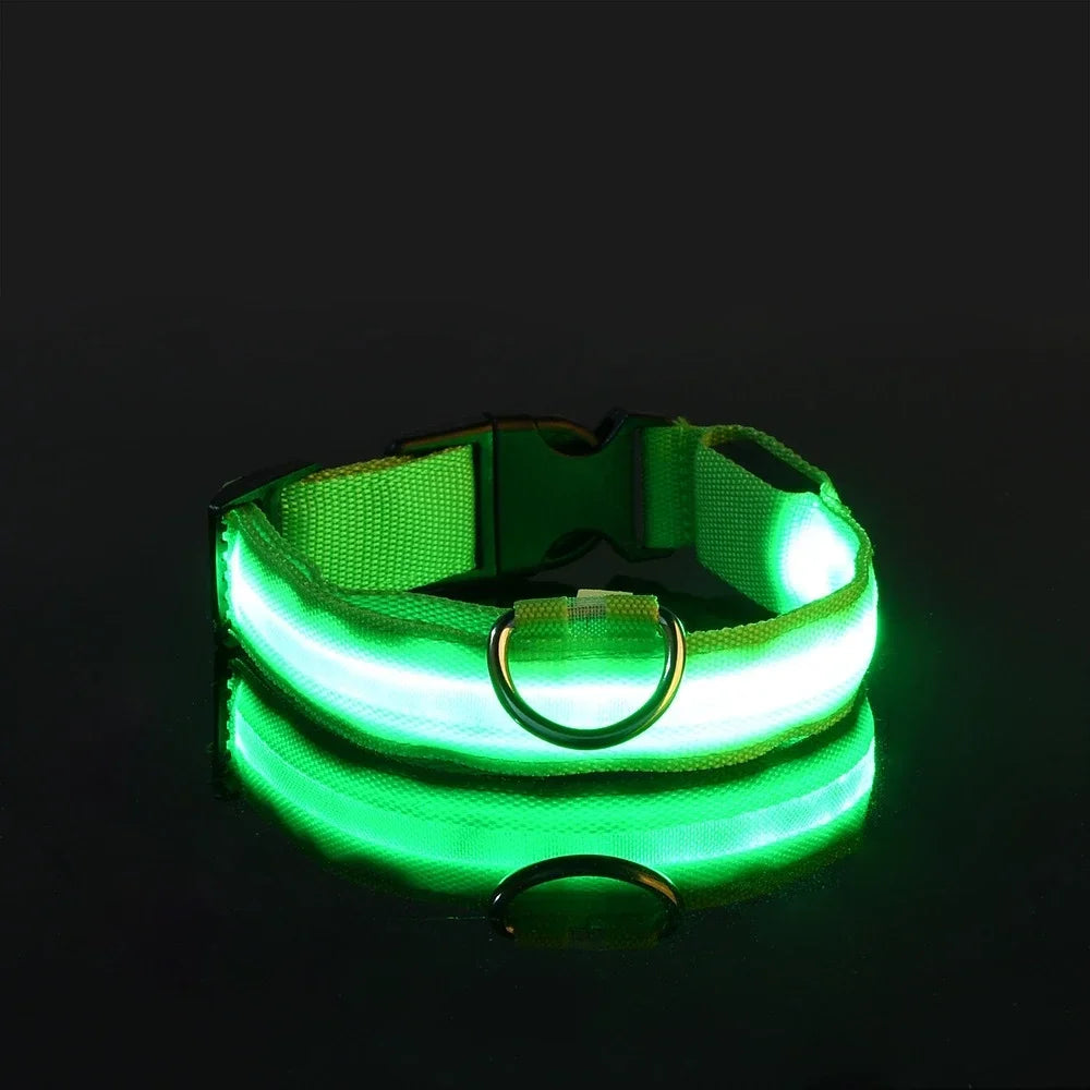 Guangdong Nylon LED Dog Collar With Night Safety Flashing Glow