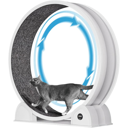 HiMISS Cat Exercise Wheel With Smart Pedometer Tracker
