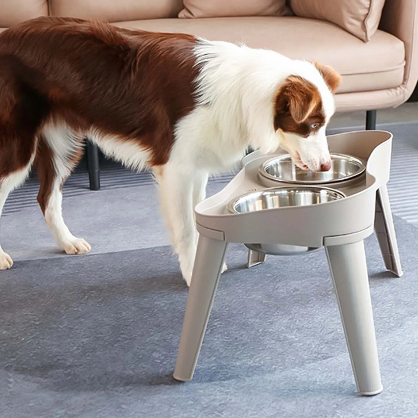 Elevated Stainless Steel Dog Feeder Bowl No Spill No Slip