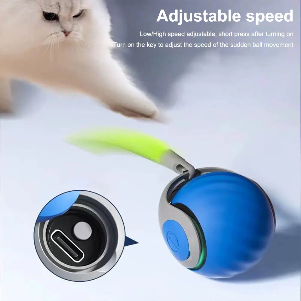 Automatic Moving Cat Toy Ball Interactive Rechargeable Pet Toy