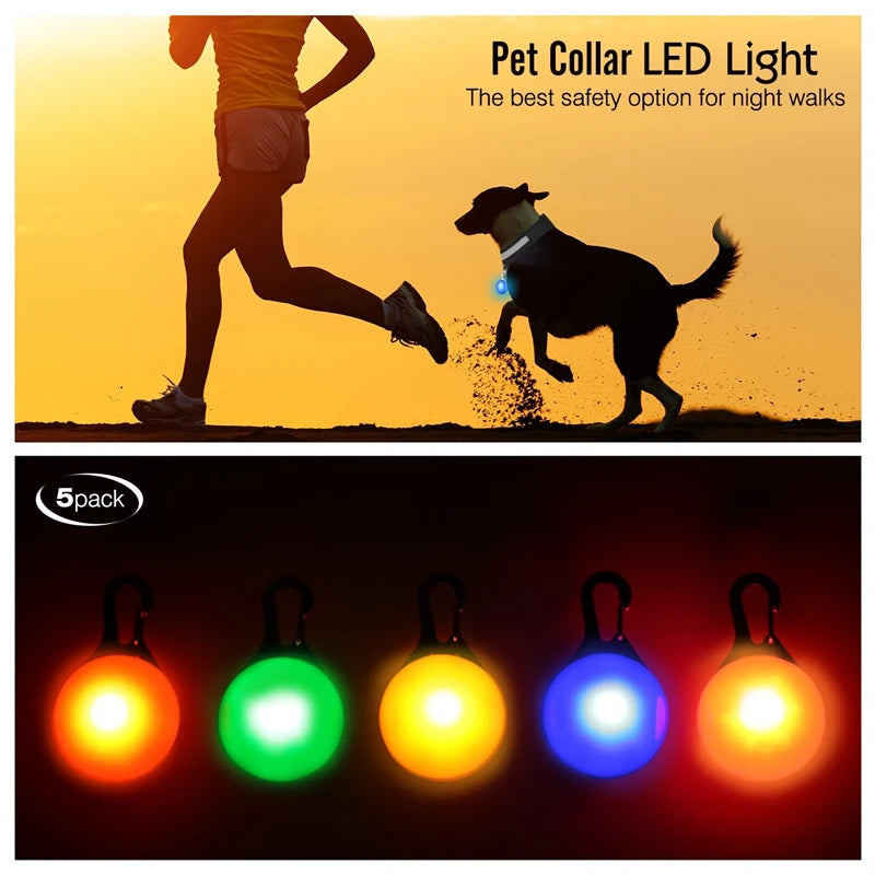 Usb Charging Glowing Dog Collar With Pendant Night Safety