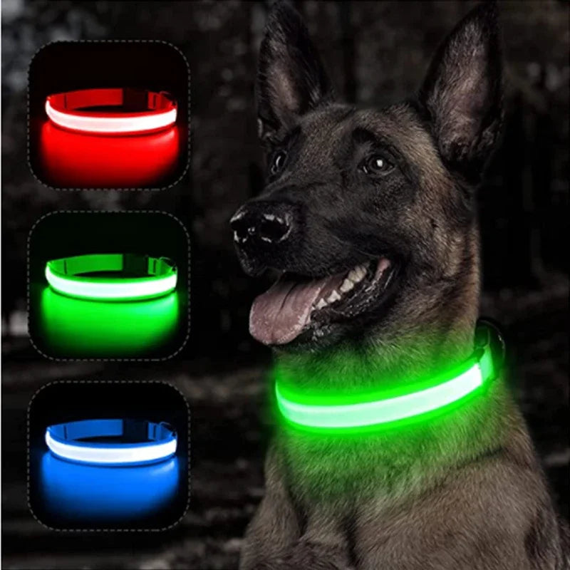 Usb Charging Glowing Dog Collar With Pendant Night Safety