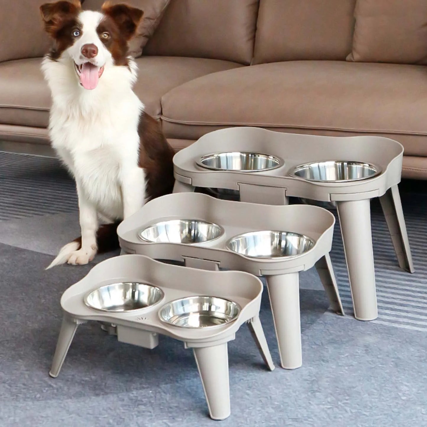 Elevated Stainless Steel Dog Feeder Bowl No Spill No Slip