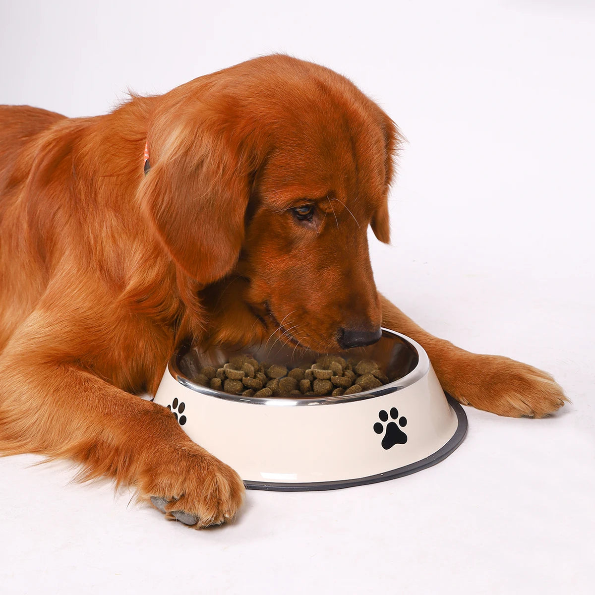 High Concerned Stainless Steel Pet Bowl Anti Fall Feeding Dish