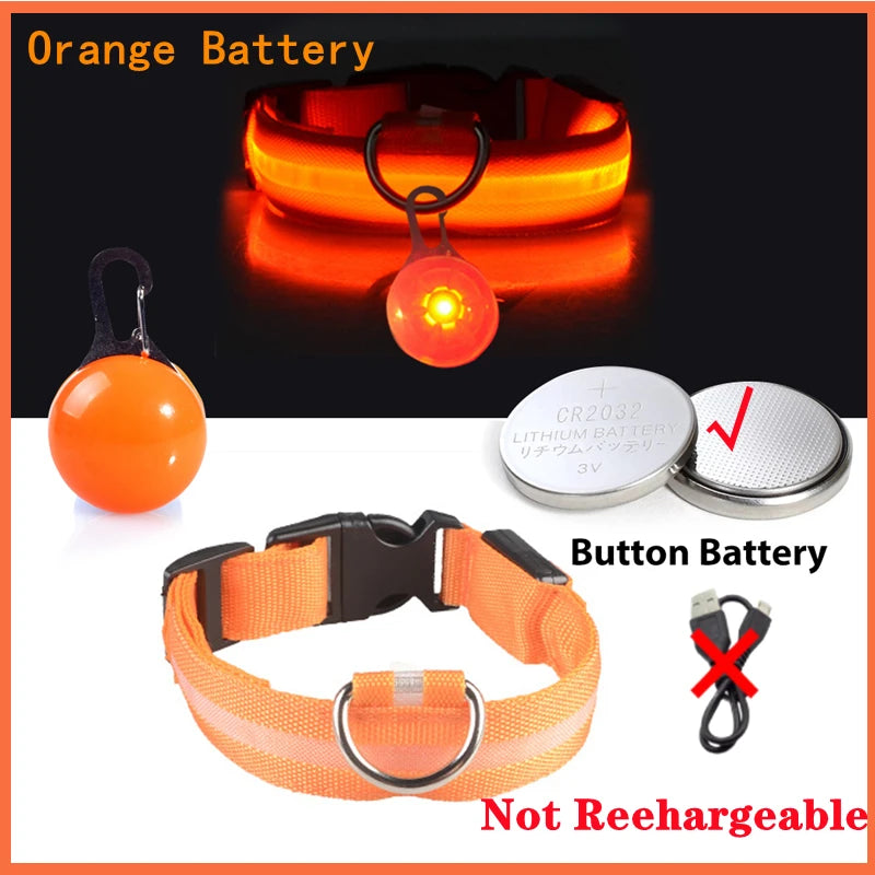 Usb Charging Glowing Dog Collar With Pendant Night Safety