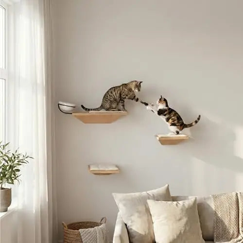 OEINGCN Wall Mounted Cat Shelves With Elevated Ceramic Feeding Station