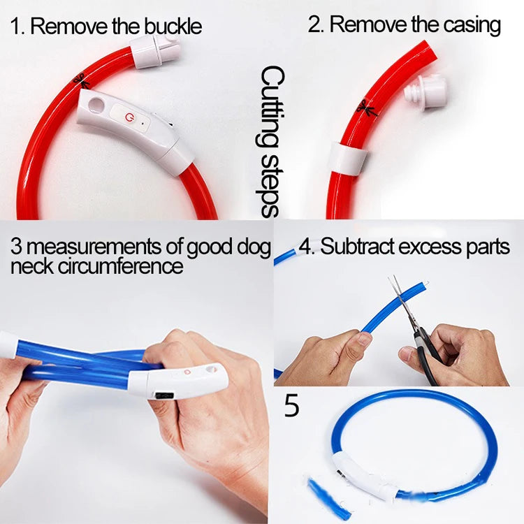 CN Guangdong Luminous Dog Collar LED Light Night Safety GXQ02