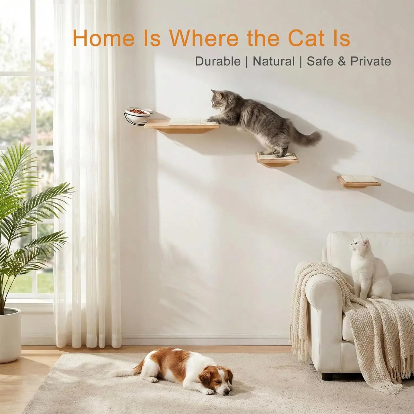 OEINGCN Wall Mounted Cat Shelves With Elevated Ceramic Feeding Station